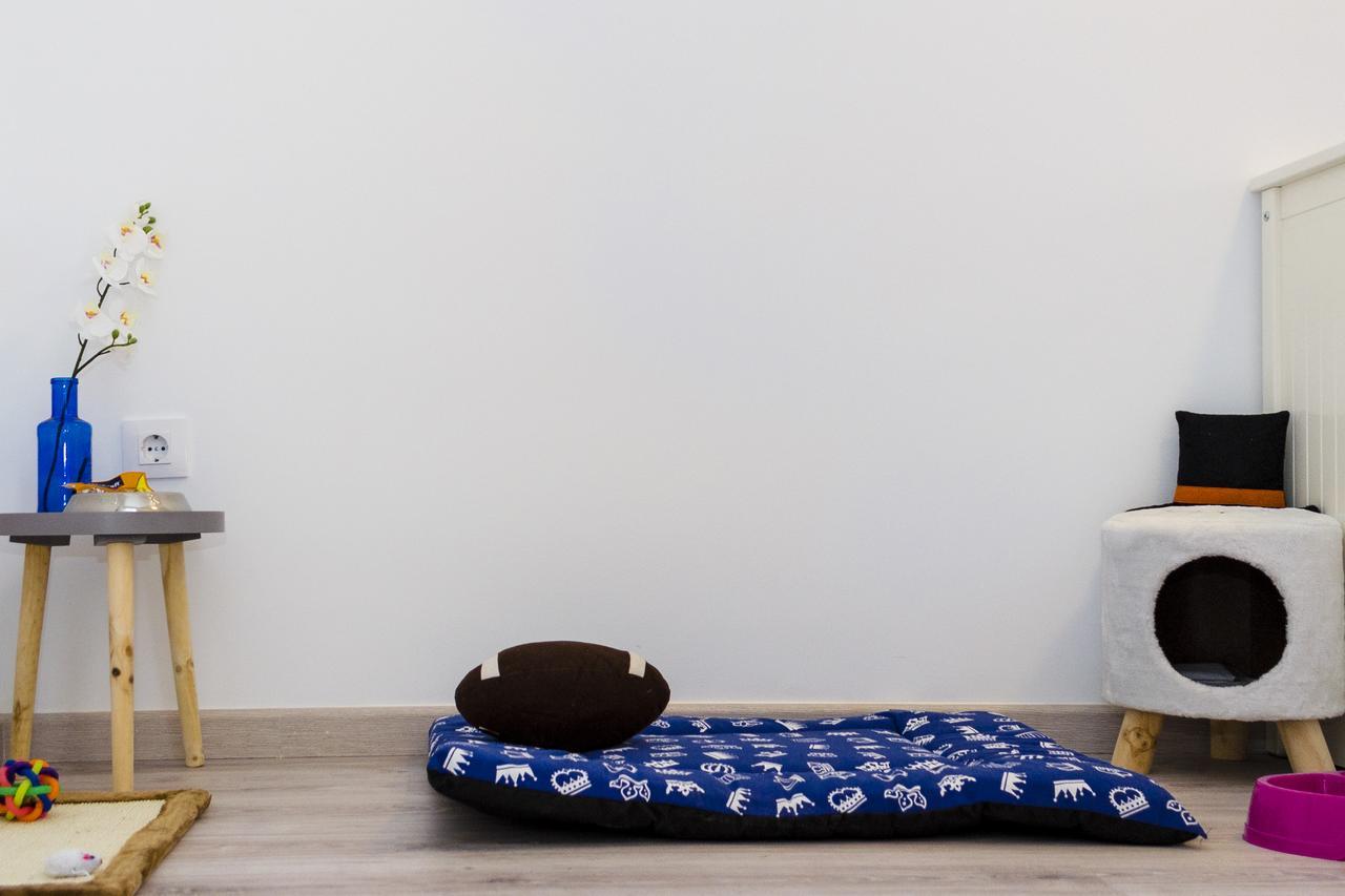 Apartup Viveros Pets Valencia Buitenkant foto